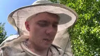 2 июня 2024 г.