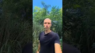 🤔ОТЛОЖЕННАЯ ЖИЗНЬ в "потом". Отложенное счастье #потом #будущее #счастье #надежды #планы #цели