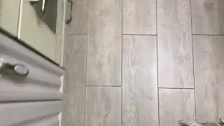 Творог- давать или не давать щенку Чихуа́хуа