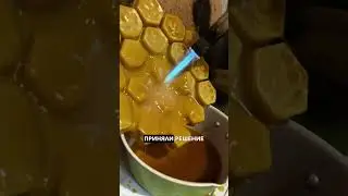 5 октября 2024 г.