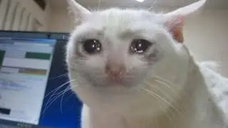 When you can't go outside part 2