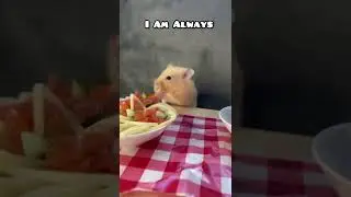 This is the perfect sound for Mr. Marshmallow 😂 