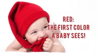 Why Red Is the First Color Babies See!