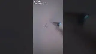 6 ноября 2020 г.