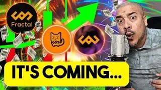 Here's the real CAT20 & $CAT Alpha | Major Fractal Bitcoin update