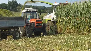 ✬KISZONKA Z KUKURYDZY 2018✬ GR SKÓRA AGROROL ✬ FILTR CZĄSTECZEK STAŁYCH KOMU TO POTRZEBNE  !? ✬