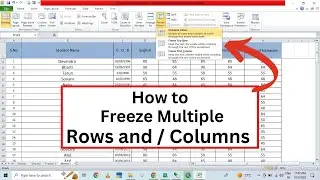 How to Freeze Multiple Rows and Columns in Excel using Freeze Panes | Lock Rows and Columns in Excel