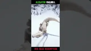 Alligator Trained to RAGDOLL / 