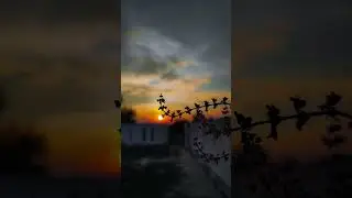 Evening Phone Photography 💡 #ytshorts #shortsvideo  #youtubeshorts #naturephotography