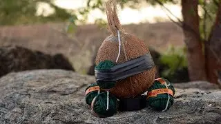 Crazy Experiment Coconut Vs Sutli Bomb || Tamil Technic