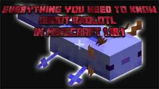 *EVERYTHING* You need to know about AXELOTLS in minecraft 1.18.1