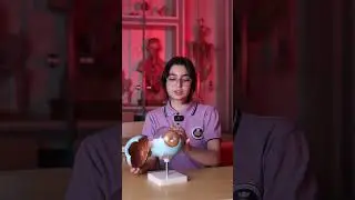 Биология
