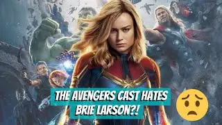 The Avengers Cast Doesn't Like Brie Larson