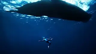 TALASOFOBIA EXTREMA!!