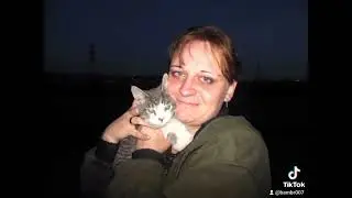 Котики...