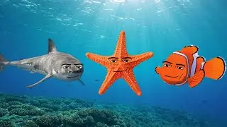 Oceanic Gegagedigedagedago