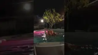 il nuoto sincronizzato.......stile Aldo Giovanni e Giacomo