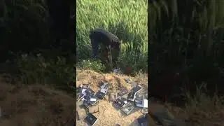 Farmers in Punjab have found Indian passports & IDs hidden in farm, reportedly.