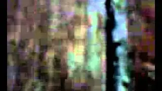 плесень которая светится неоном.mp4