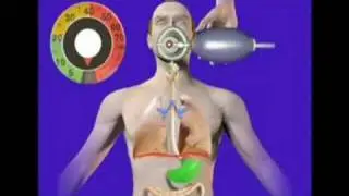 Benefits of Using a Monometer During Manual Resuscitation