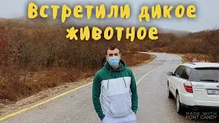 ХЫЗЫ В ПОИСКАХ СНЕГА