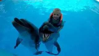Даниэль плавает с ДЕЛЬФИНАМИ!  Daniel swims with dolphins.