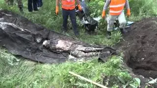 Эксгумация  ВСУ/ The exhumation of the Ukrainian soldiers 02.05.2015
