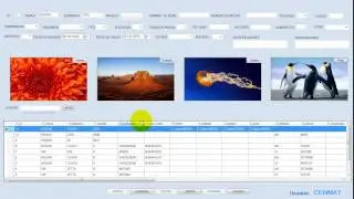 TUZSA SYSTEMS PARTE 1