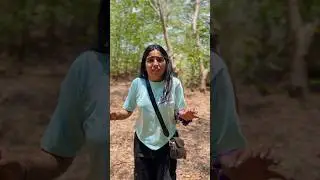 Ye hum ghane jungle mein kahan agye 😰 