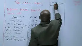 Differences between Plant Cells and Animal Cells