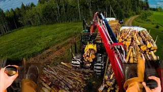 Long Reversing & Loading Birch Pulpwood