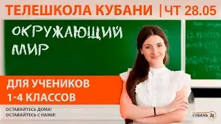 Уроки для 1-4 классов. «Окружающий мир» за 28.05.20 | «Телешкола Кубани»