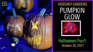 Pumpkin Glow at The Hershey Gardens! Carving Demo, Tons of Pumpkins and More! 4K October 30, 2021