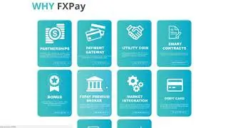 FX Pay - общий обзор ICO.