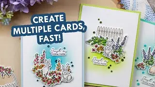 Using Vignettes to Create Notecard Sets