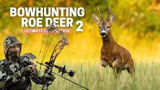 Bow Hunting Compilation Roe Deer | Part 2: Hunting bucks during the rut 10+ shots 😲