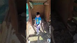 в гостях у кролика