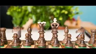 Шахматы (видео 13)