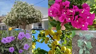 Олины Истории 🏜 Влог 