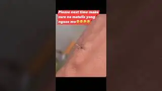 Isang lamok hinde makasipsip Ng dugo #musqueto #bossjetv  #lamok #lamokdancechallenge #youtubeshorts