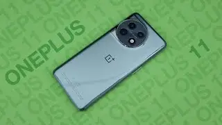 OnePlus 11 Review: All about perspective