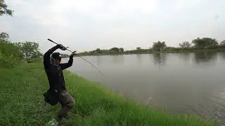 Texas Rig ตีจิบปลาช่อนใหญ่ ปลายางหางหนอน Wriggler 2
