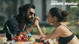 ANIMAL Mashup Nonstop - Jukebox| Satranga | Pehle Bhi Mein