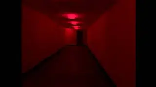 Level: Run For Your Life! (But the cameraman is an idiot)