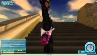 What it's like on Star Stable as a non-star rider.