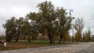 Зубной техник об обуви..