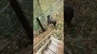how did she get out this morning 
