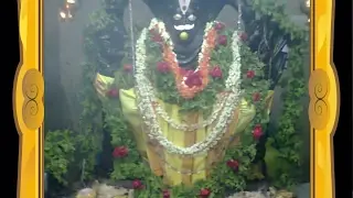 Arjunrao Rajanala's broadcast
