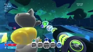 Slime Ranchin' Shenanigans