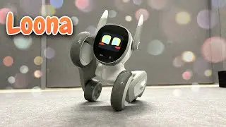 Meet the Loona Petbot! Unboxing the Smartest RoboArmy Pet